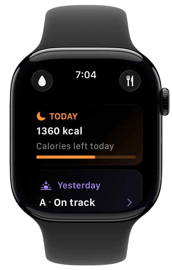 Fuel on Apple Watch showing calories left today