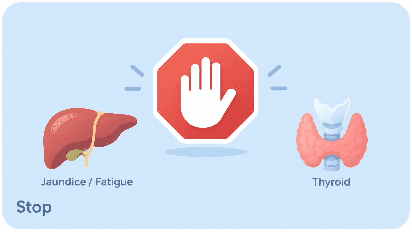 Stop symbol between liver and thyroid illustrations, highlighting jaundice, fatigue, and thyroid cautions with ashwagandha