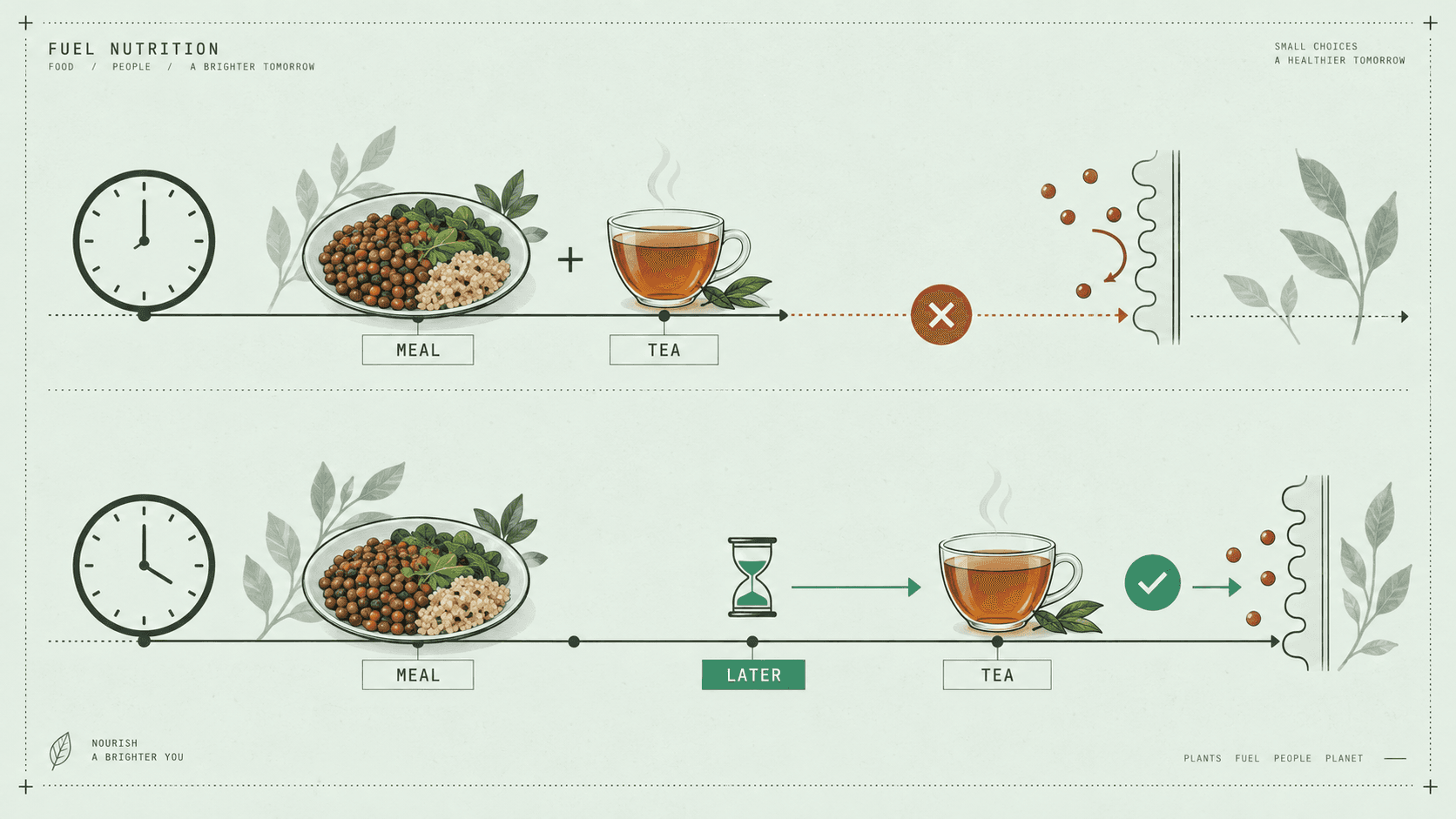 Two meal timelines showing tea served with an iron-rich meal versus tea served later