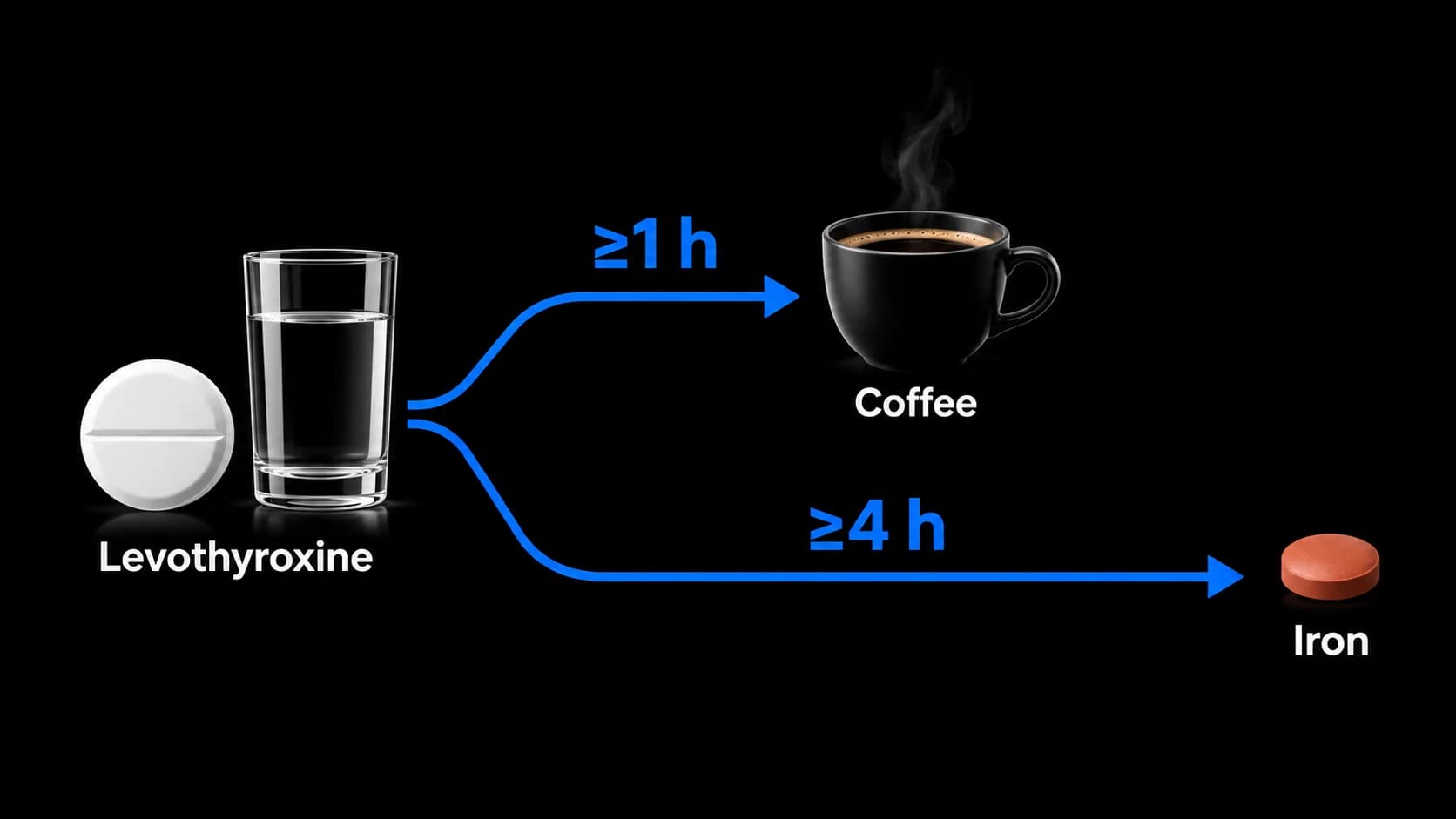 Levothyroxine taken with water, followed by coffee at least one hour later or an iron supplement at least four hours later.