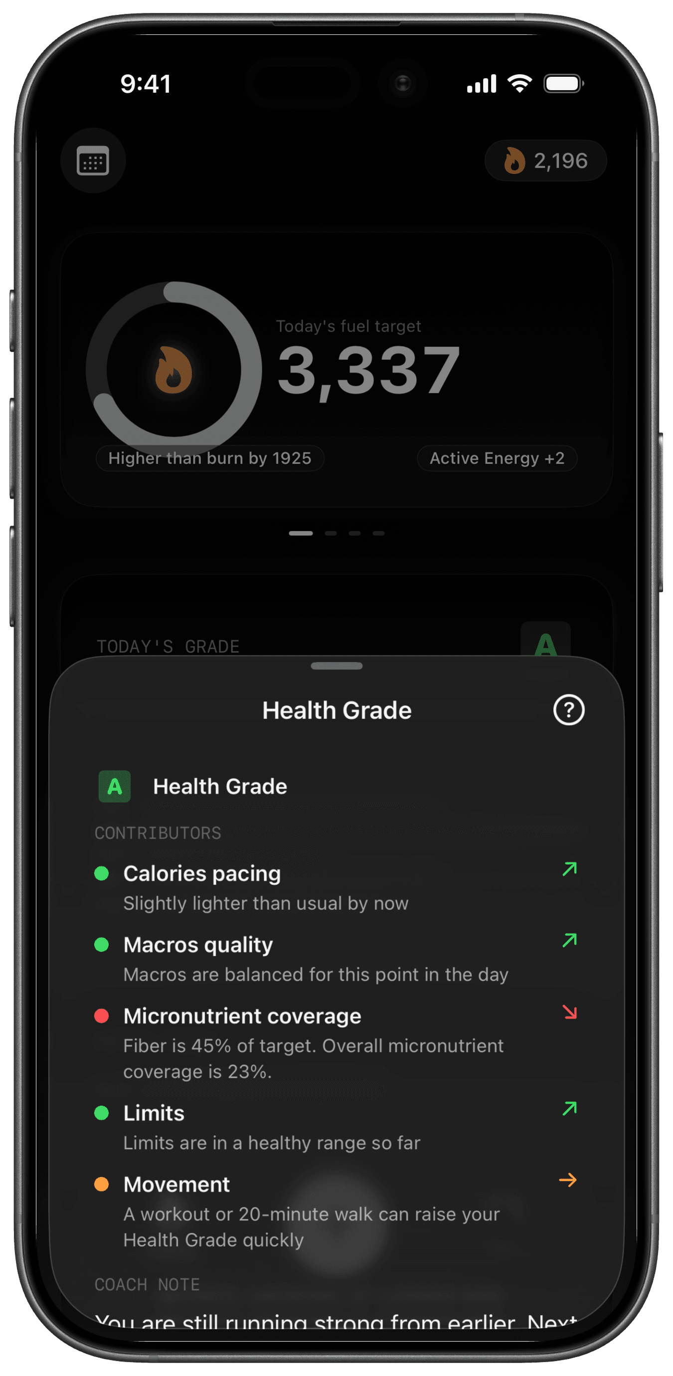 Fuel Health Grade