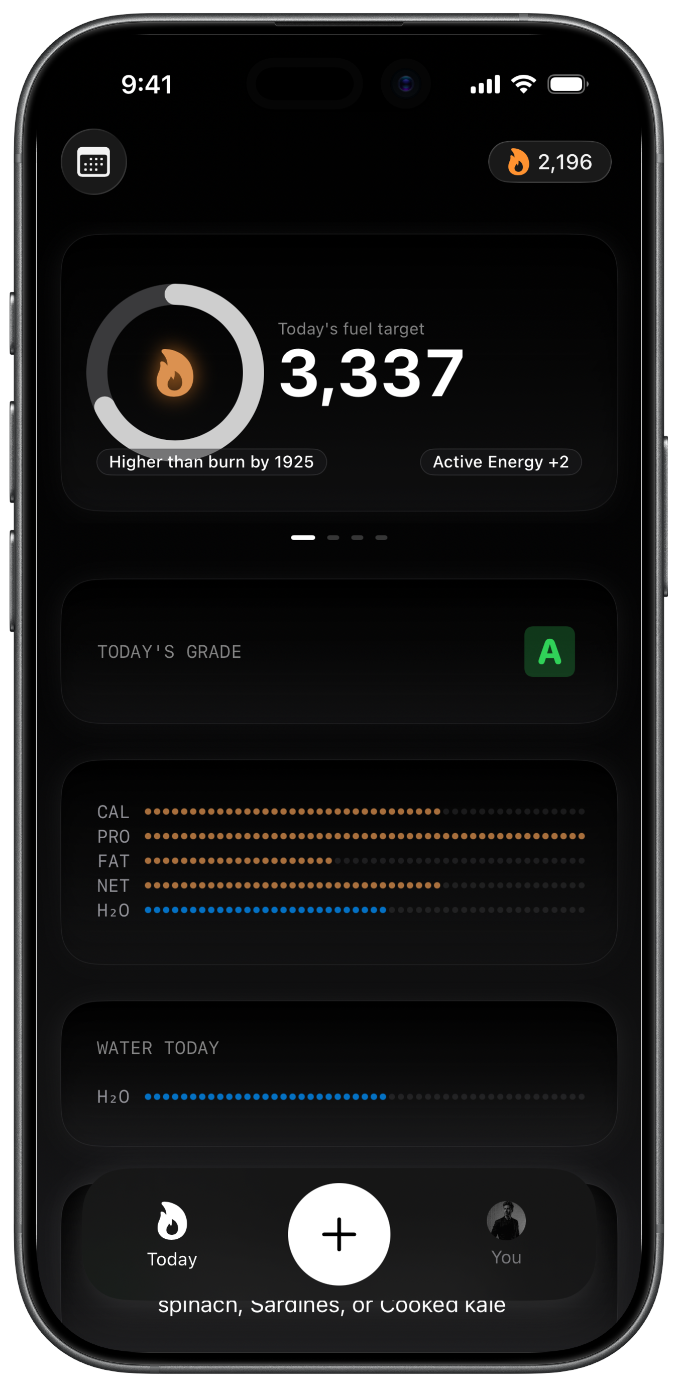 Fuel screenshot