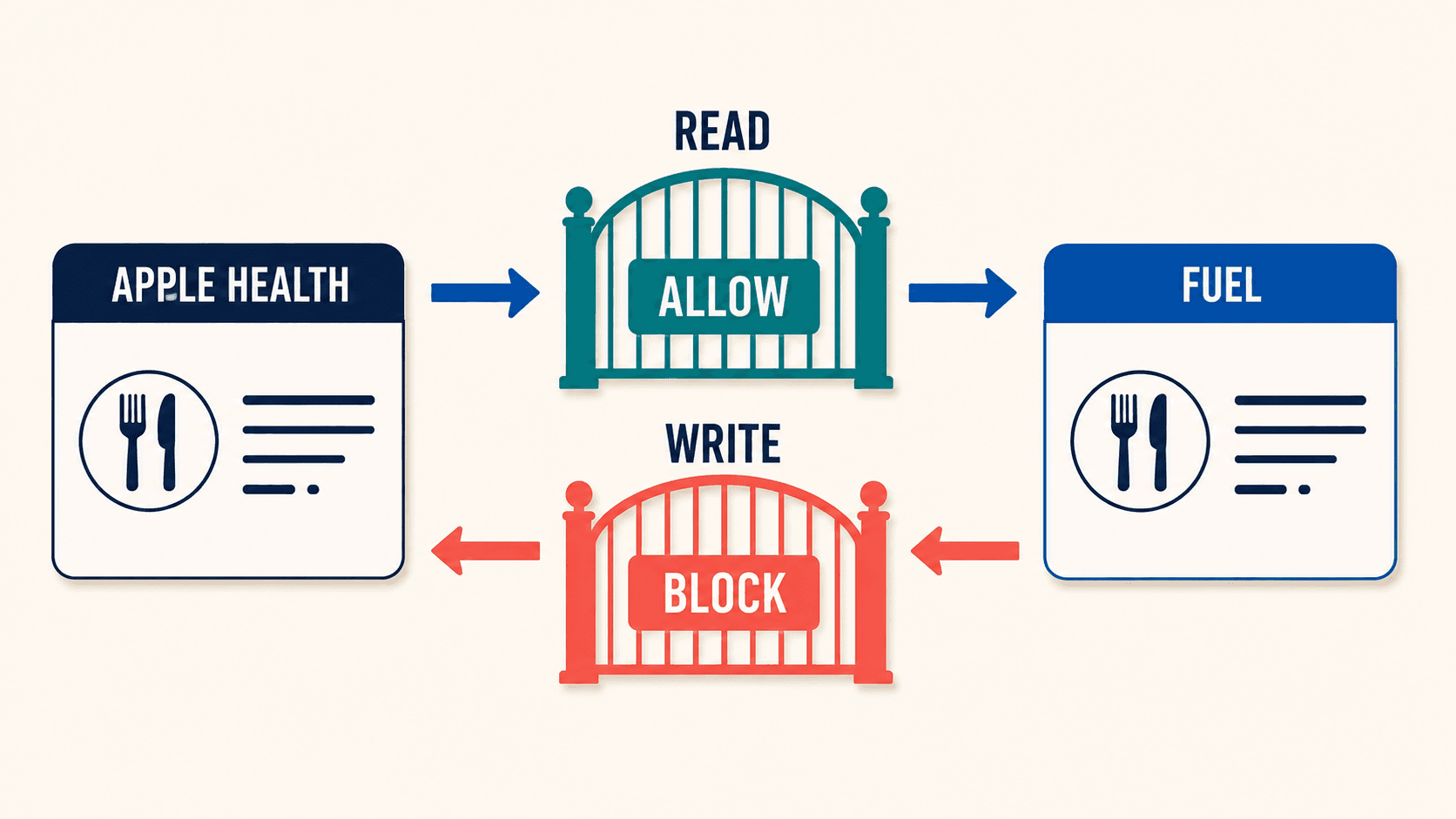 Apple Health read and write permissions can be allowed or blocked for Fuel.