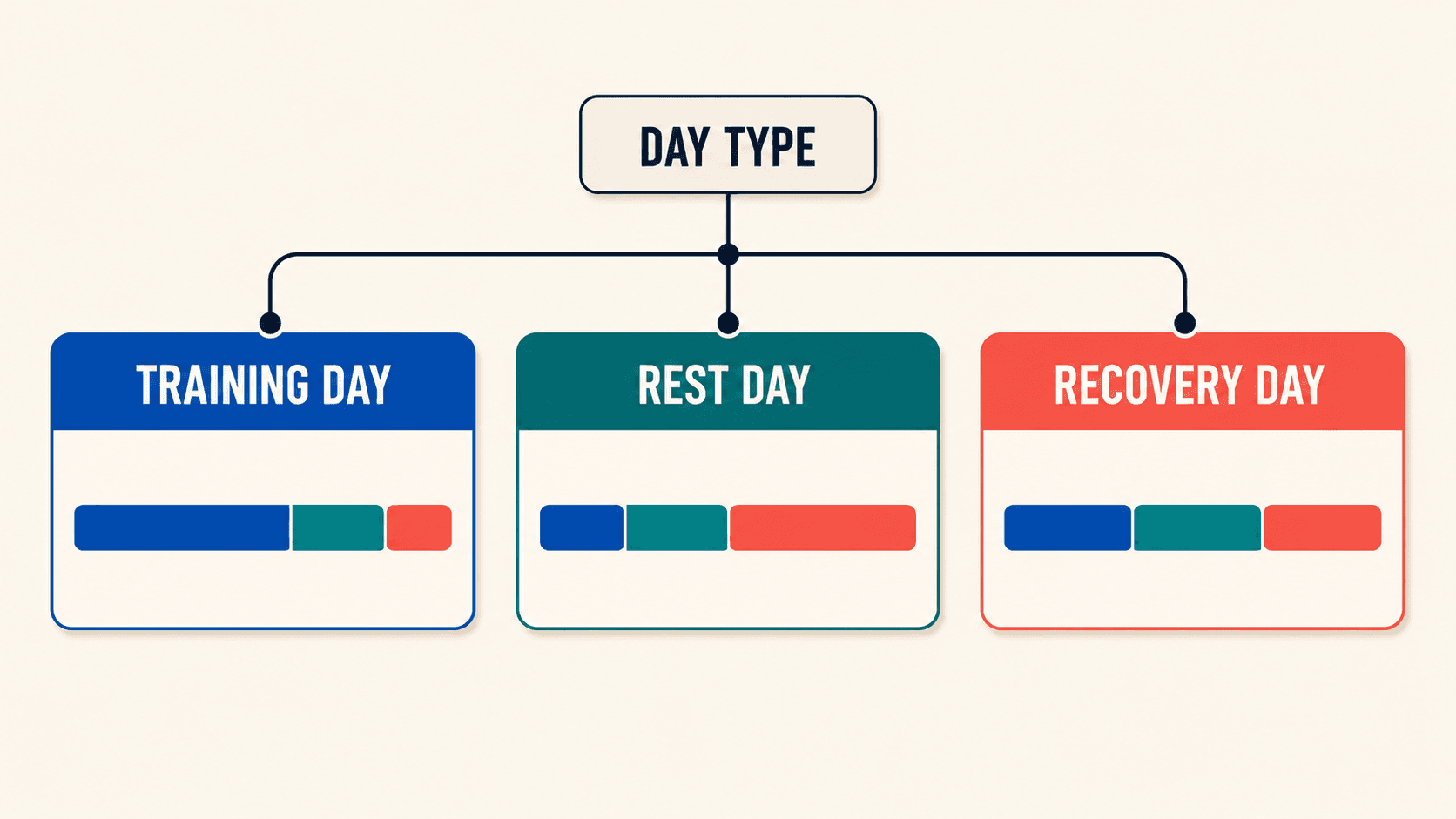 Day type branches into training, rest, and recovery days, and each one carries its own calorie and macro split.