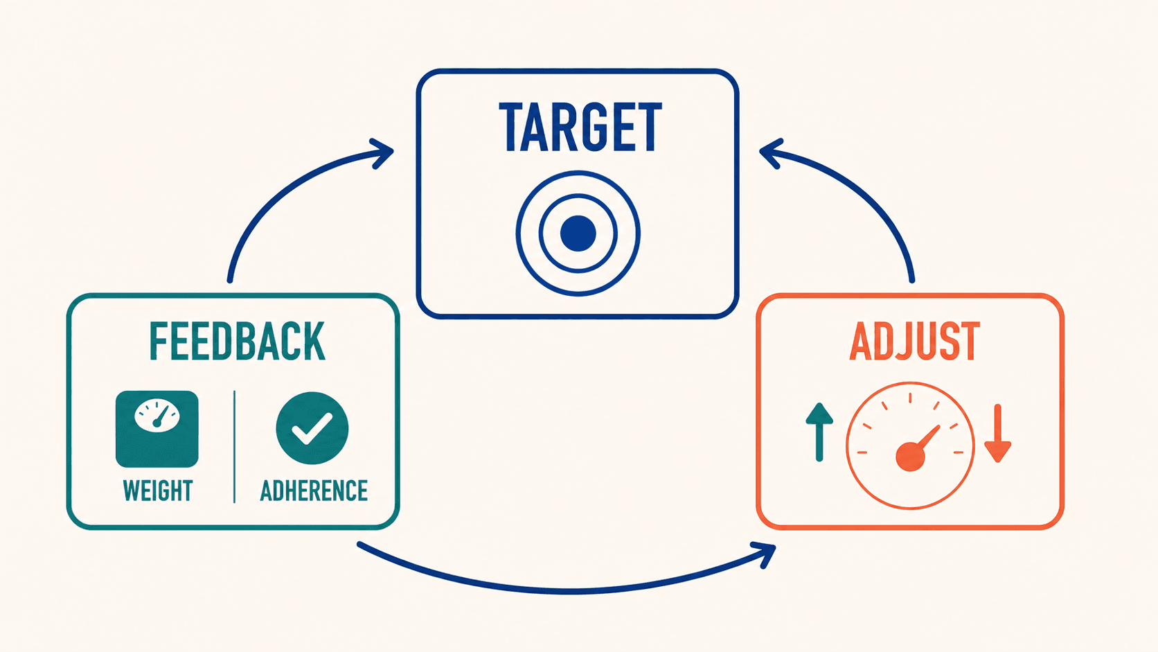A coaching check-in loop where feedback on weight and adherence sets the target, the target gets adjusted up or down, and the loop repeats