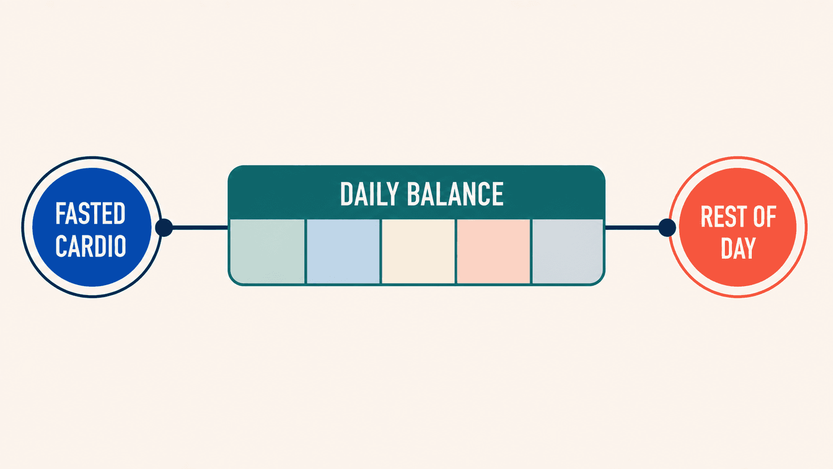 Fasted cardio is a short session inside the larger daily energy balance.