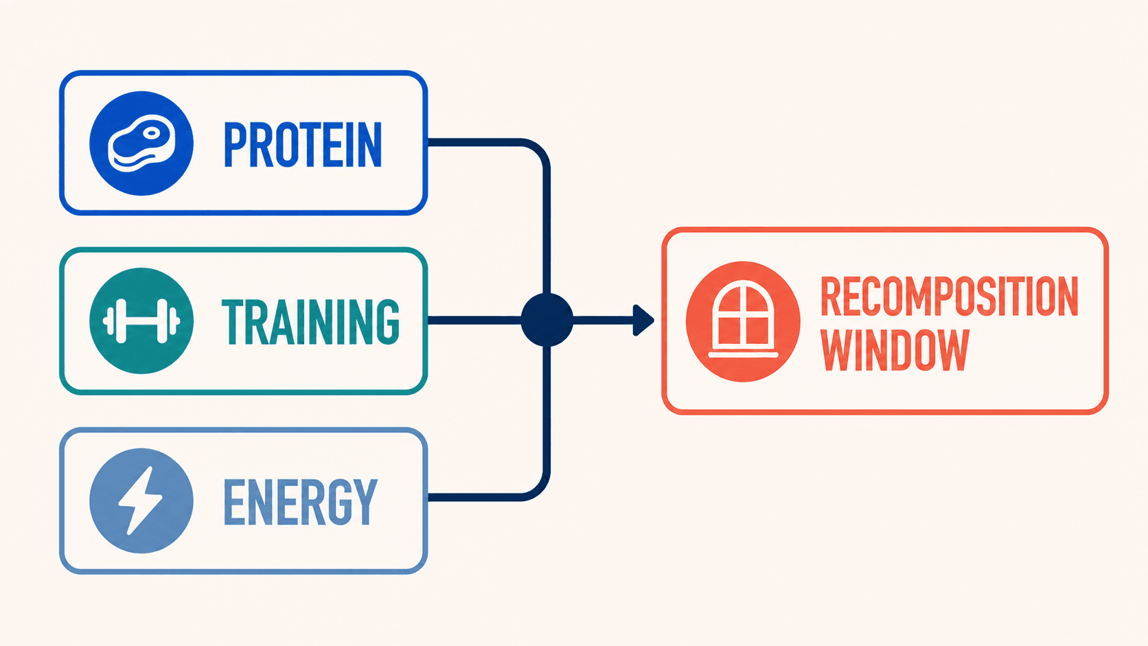 A calorie deficit, sufficient complete protein, and resistance training interlock to create the GLP-1 recomposition window.