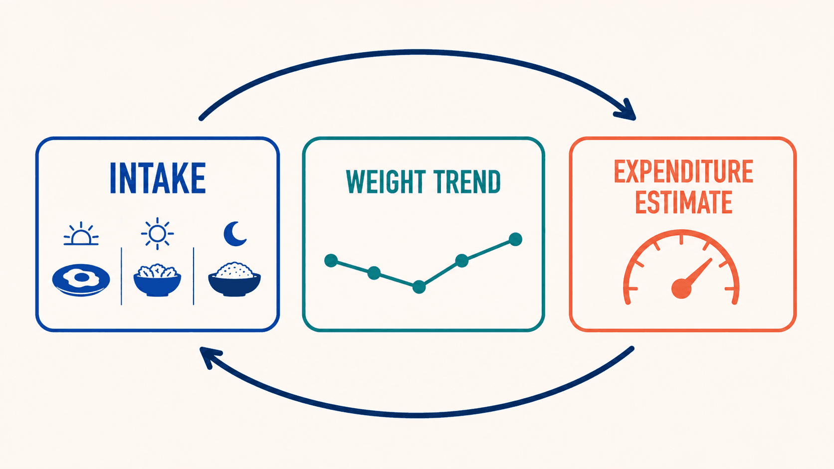 MacroFactor's adaptive expenditure process connects logged intake and the weight trend to an updated expenditure estimate.