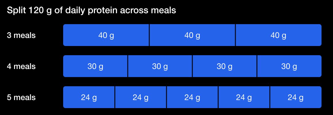 Three equal-length tracks split 120 grams of daily protein into three meals of 40 grams, four meals of 30 grams, or five meals of 24 grams.