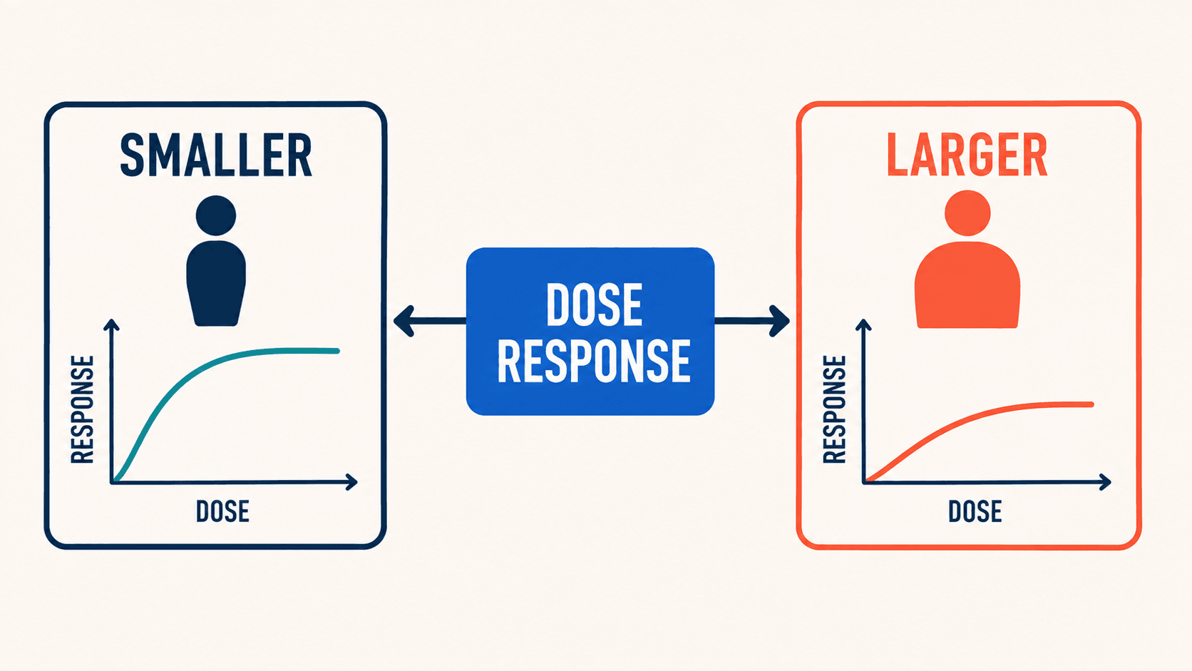 A dose-response curve can differ with body size, so the same dose does not guarantee the same response.