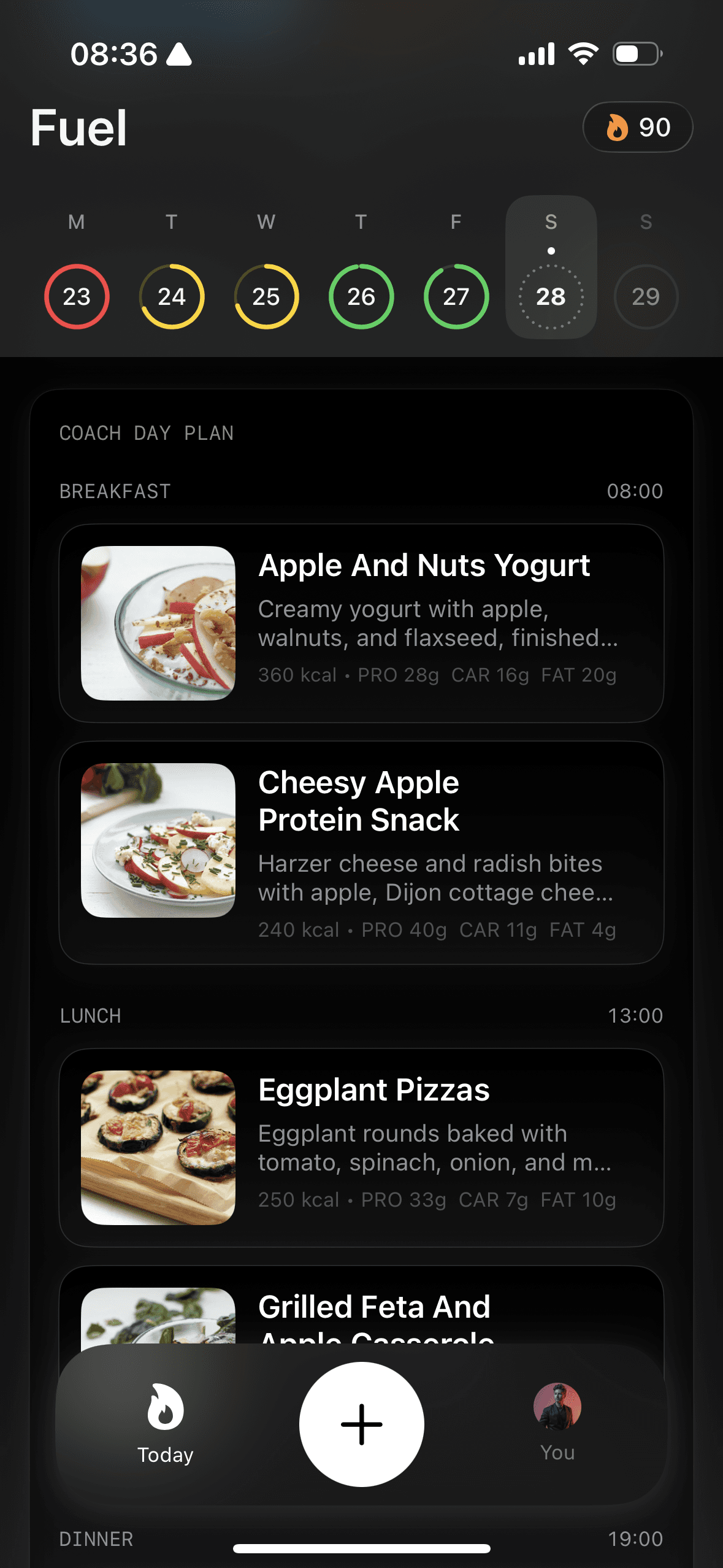 Fuel Coach Day Plan showing meal ideas built around daily targets