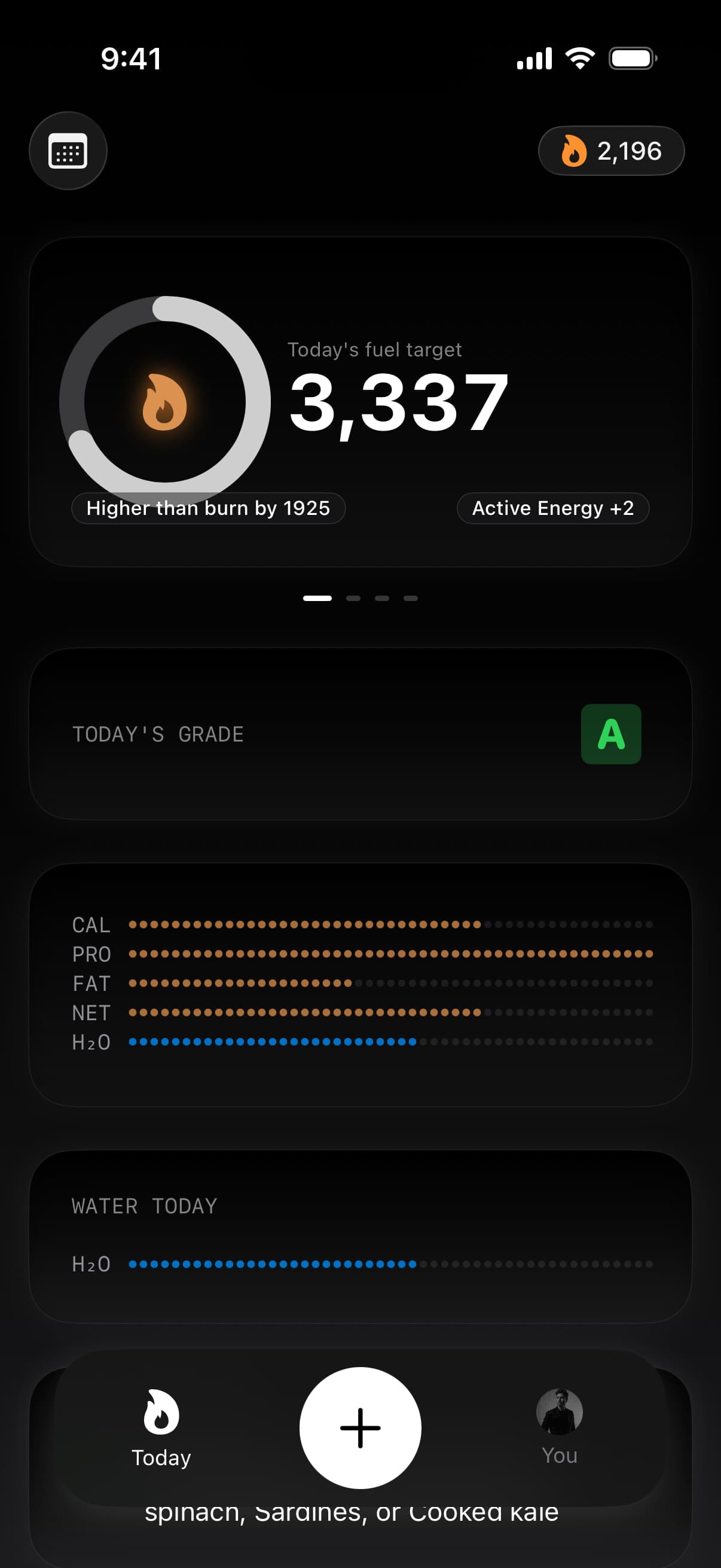 Today screen showing calorie, grade, workout, and macro cards