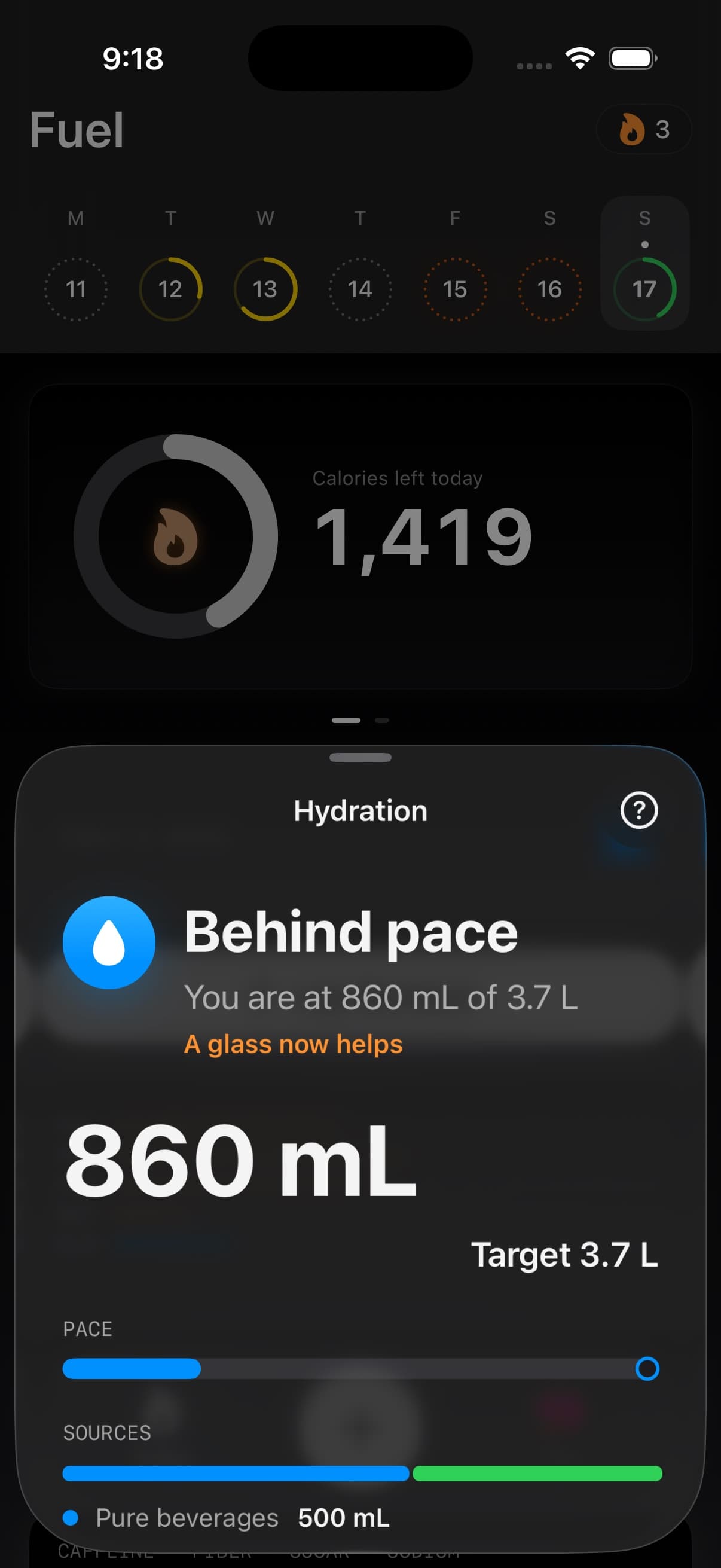 Hydration detail showing current intake, target, pace, and sources