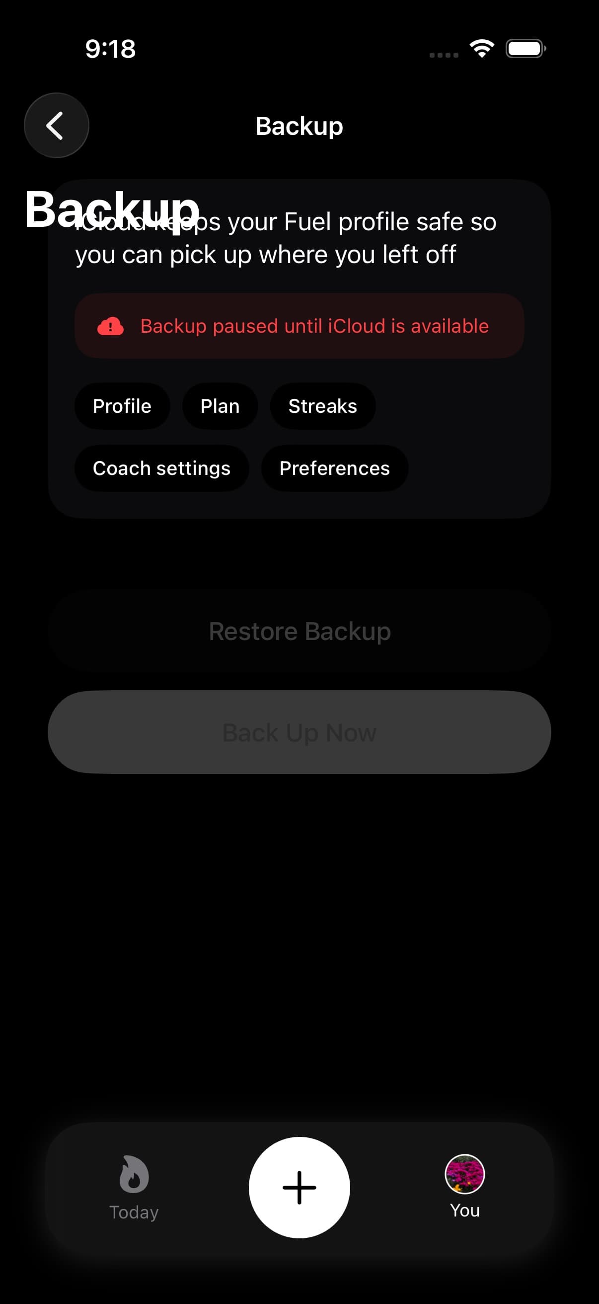 Backup settings screen showing profile, plan, streaks, coach settings, and preferences