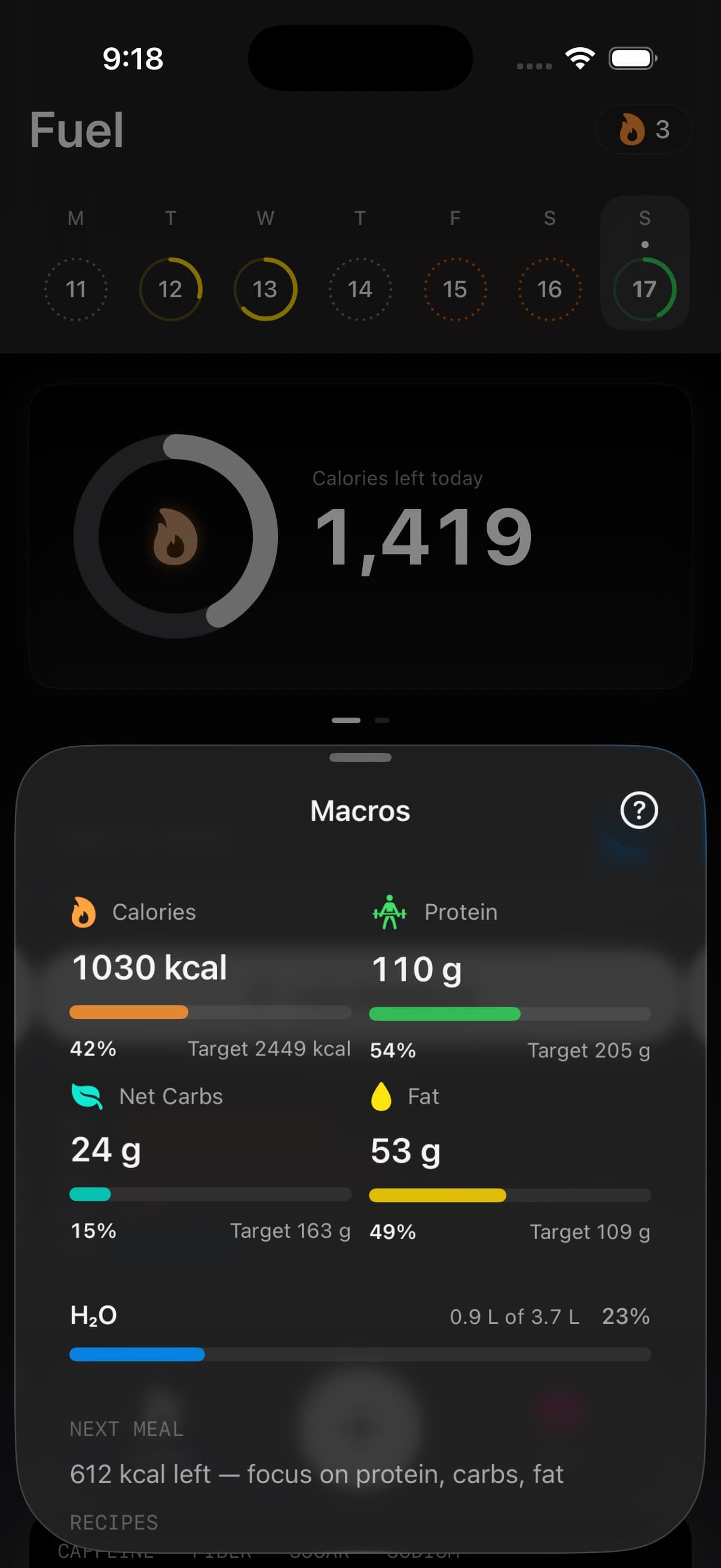 Macro detail showing Net Carbs alongside calories, protein, fats, and water