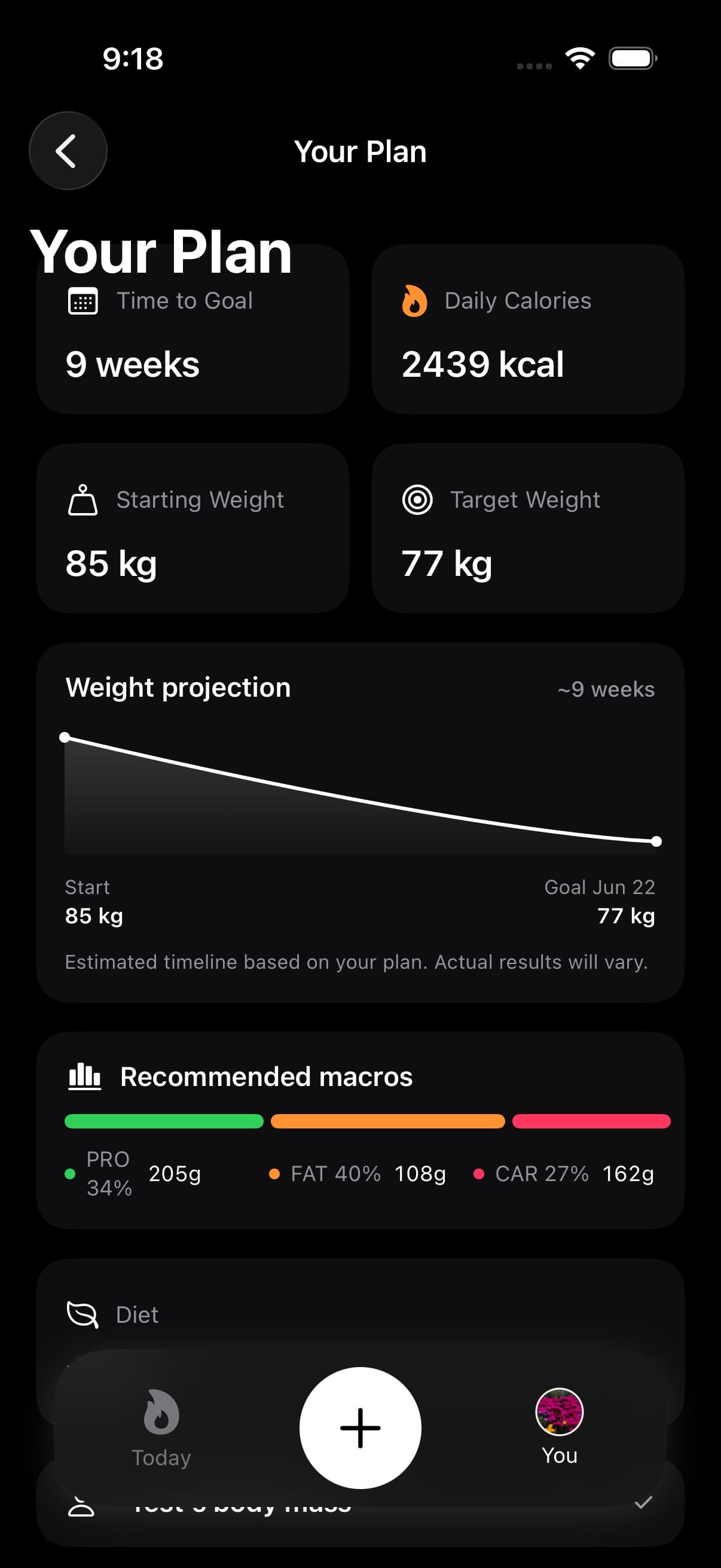 Your Plan screen showing Pro plan status and progress context