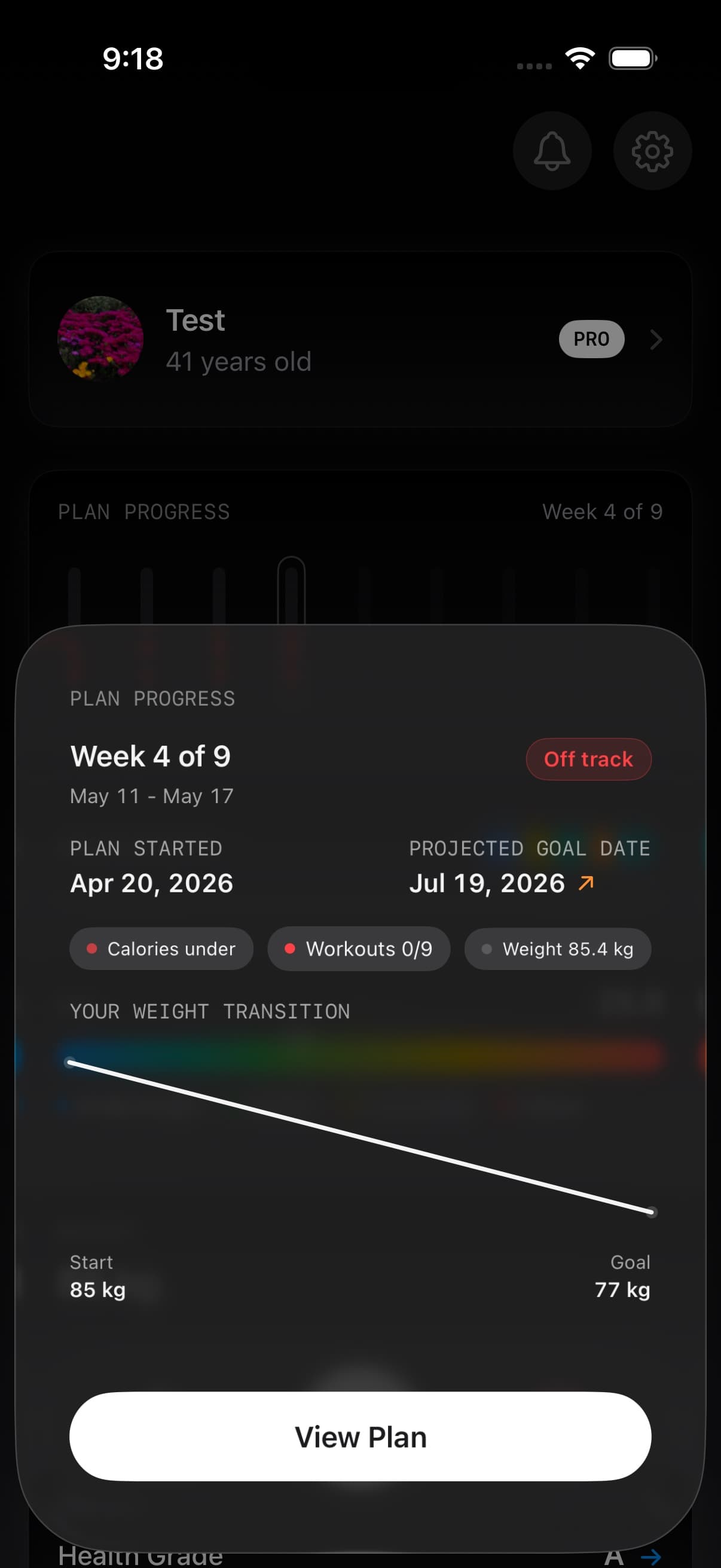 Plan Progress screen showing week status, goal trajectory, and progress metrics