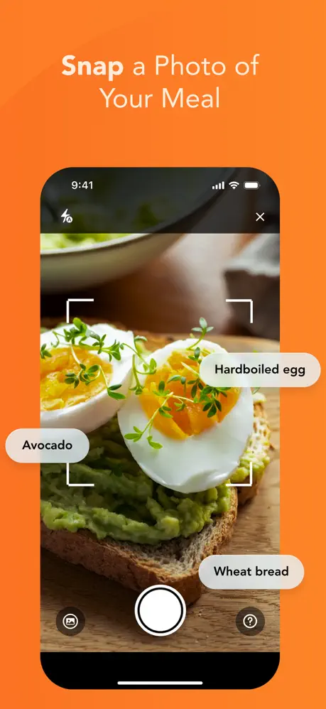 loseit screenshot